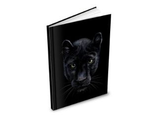 Obrázek z Záznamová kniha A5 panter, 100l, linka 